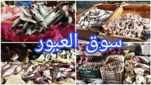 البلطي والبوري.. أسعار السمك في سوق العبور اليوم الأربعاء 10 ديسمبر 2025 للمستهلك والتاجر